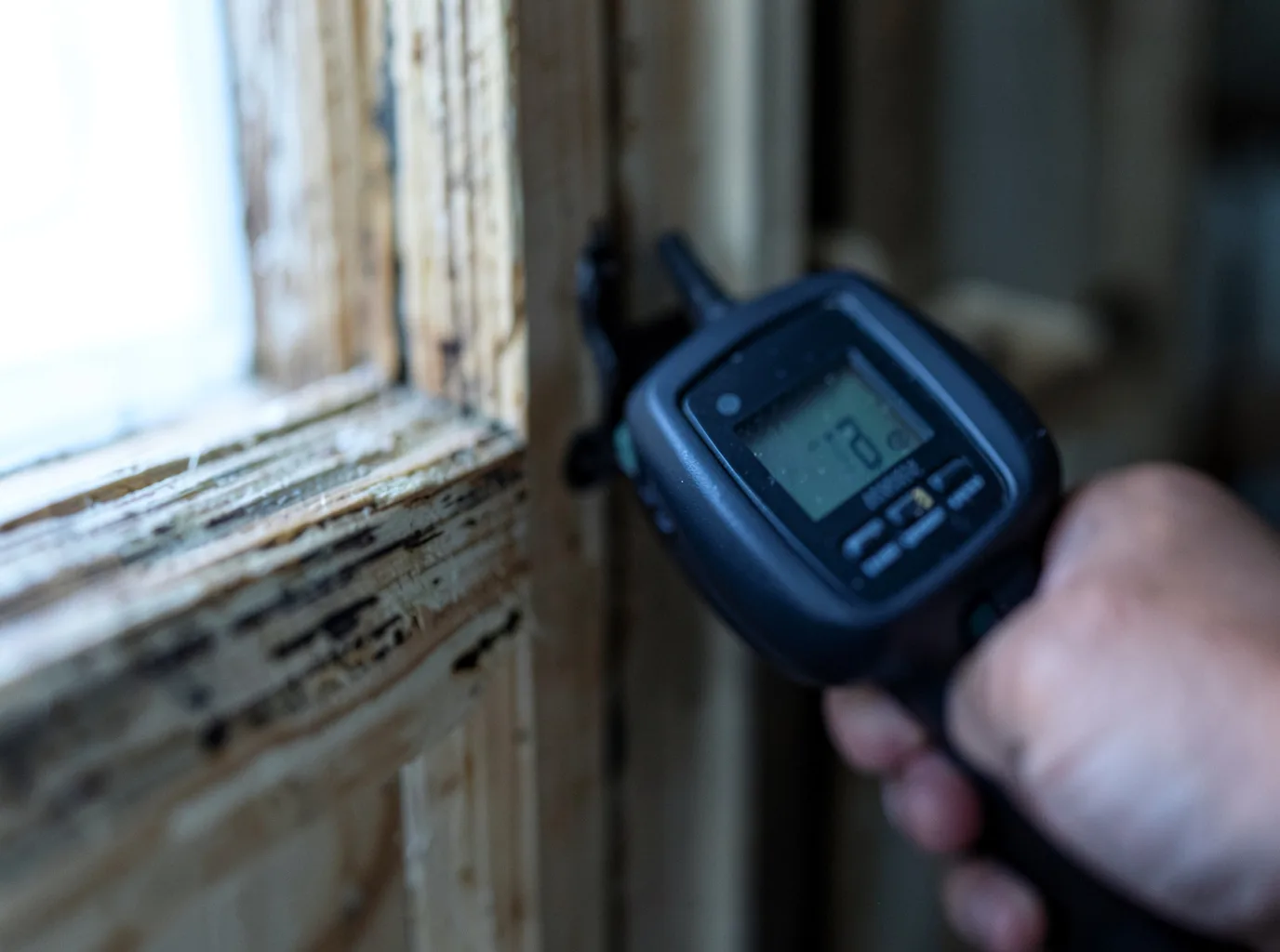 Moisture Inspection And Documentation in Ellsworth, PA